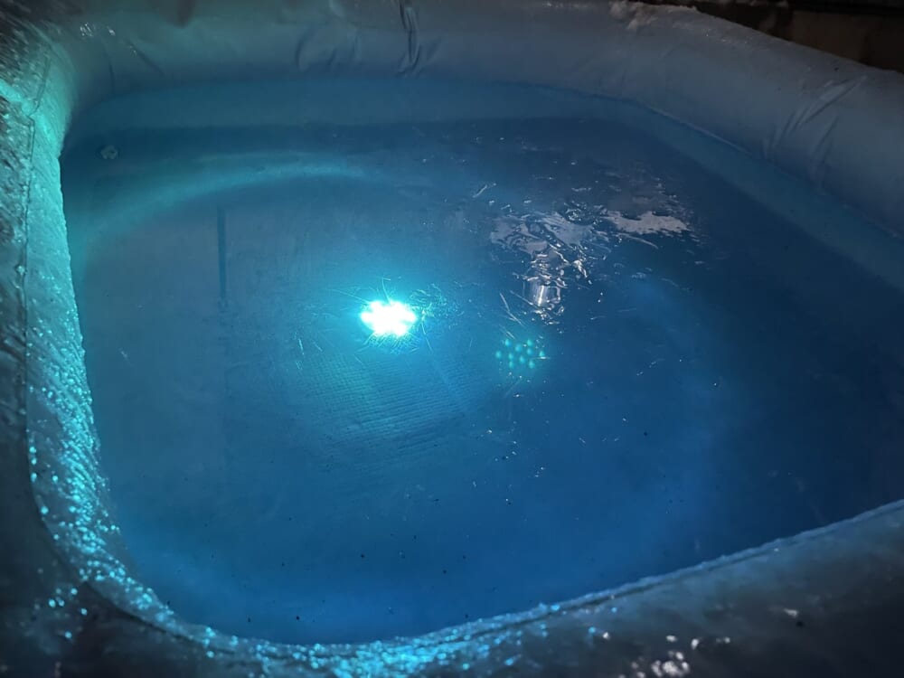 青く照らされたビニールプールの水面に張った薄氷